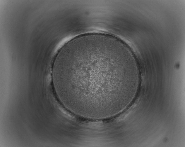 X0000101091363200807031716