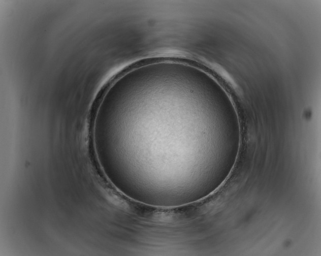 X0000101091364200807031716