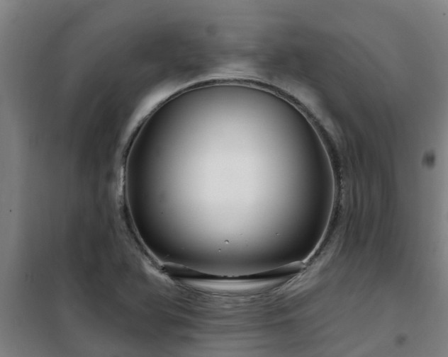 X0000101091366200807031716