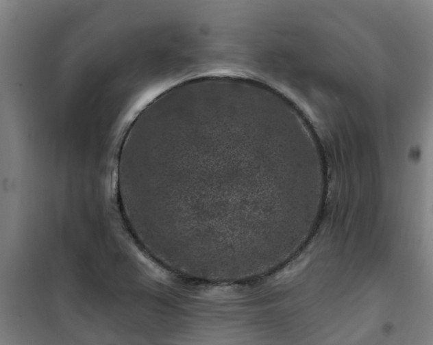 X0000101091367200807031716