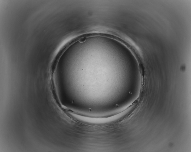 X0000101091368200807031716