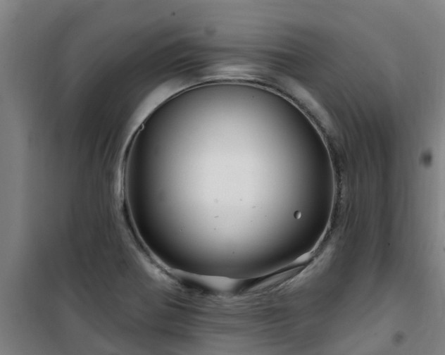 X0000101091370200807031716