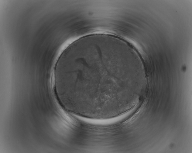 X0000101091371200807031716