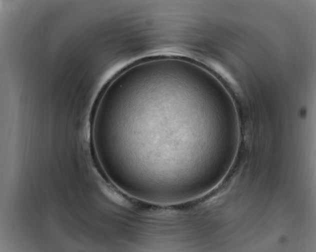 X0000101091372200807031716