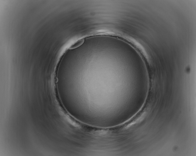 X0000101091373200807031716