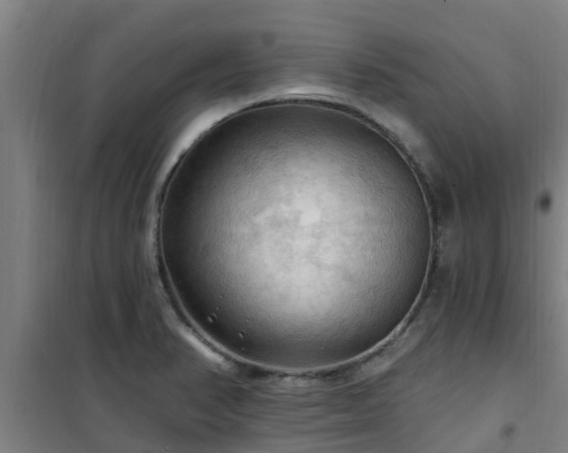 X0000101091374200807031716