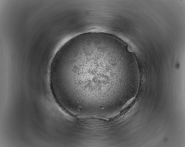 X0000101091375200807031716