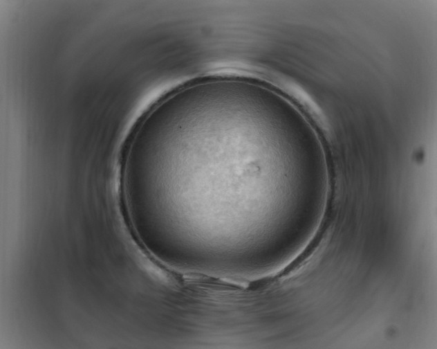 X0000101091376200807031716