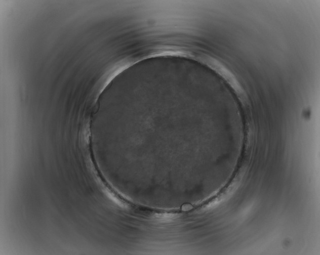 X0000101091377200807031716