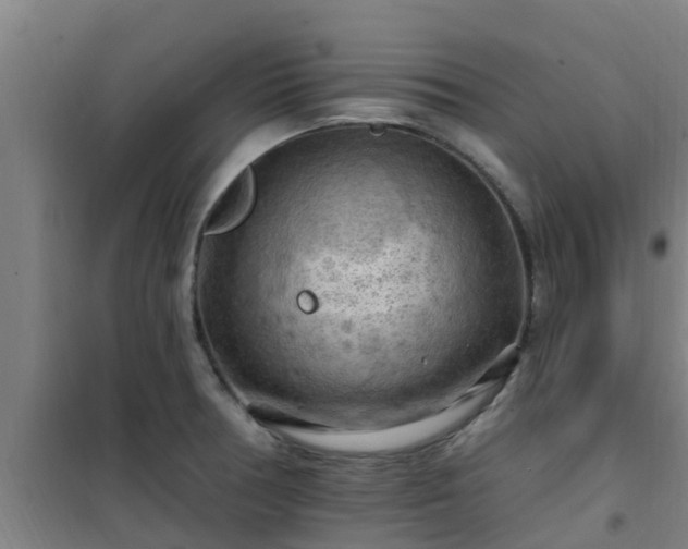 X0000101091378200807031716