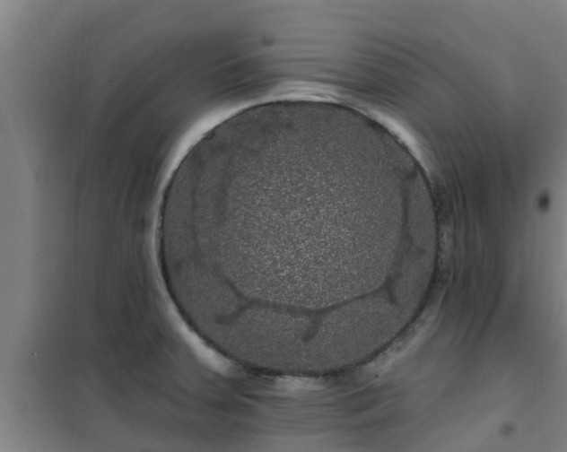 X0000101091379200807031716