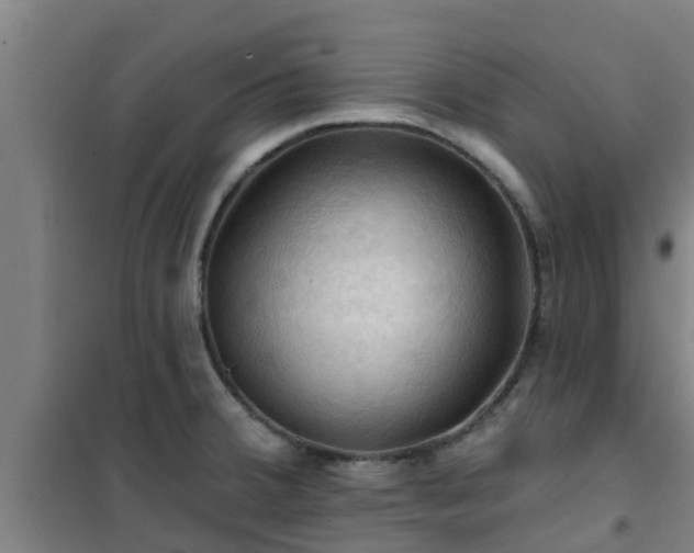 X0000101091380200807031716