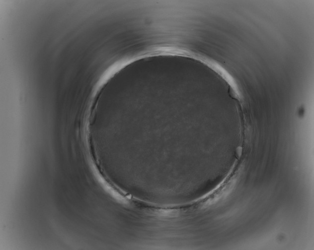 X0000101091381200807031716