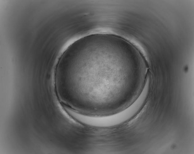 X0000101091382200807031716