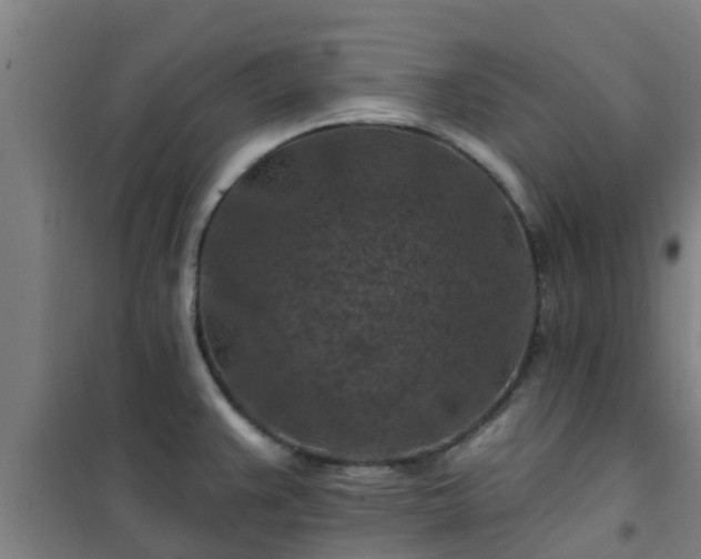 X0000101091383200807031716