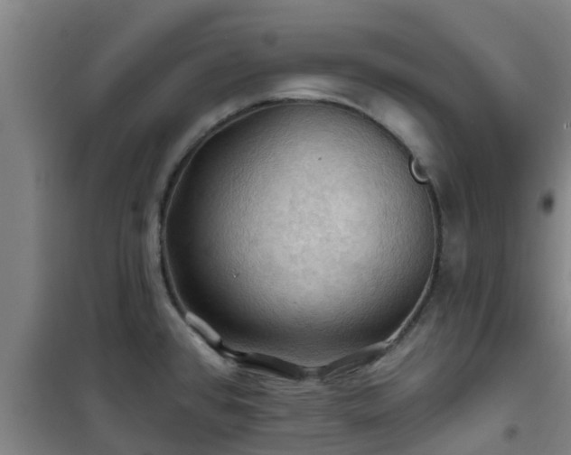 X0000101091384200807031716