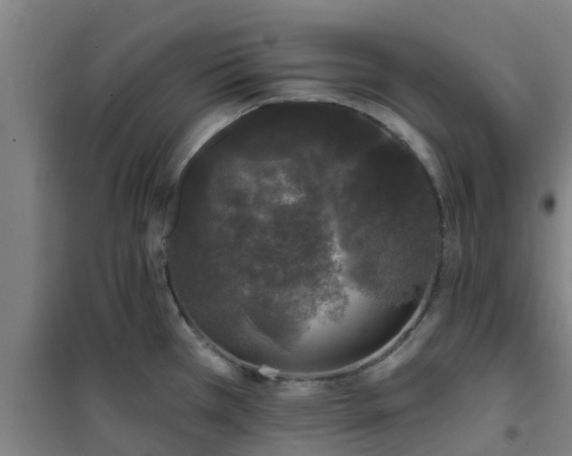 X0000101091385200807031716