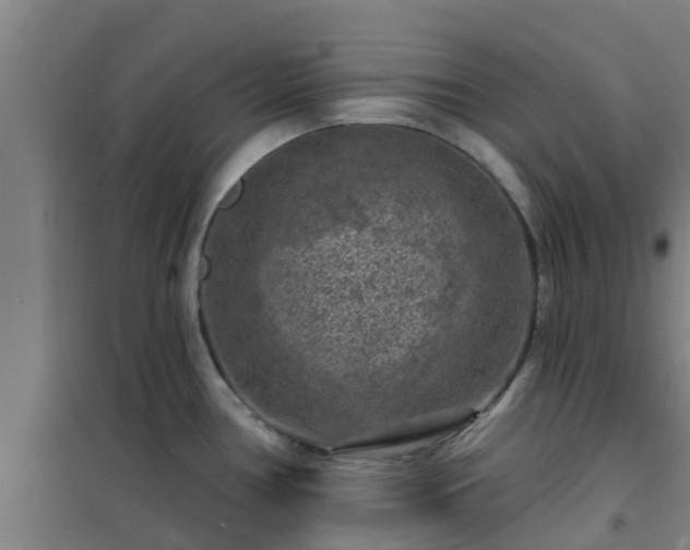 X0000101091386200807031716