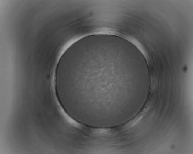 X0000101091387200807031716