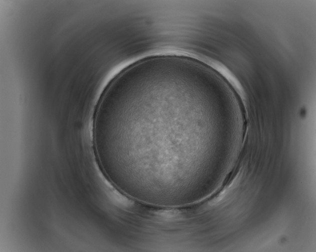 X0000101091388200807031716