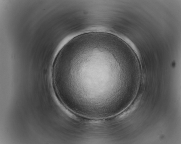 X0000101091389200807031716