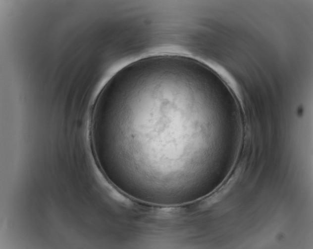 X0000101091390200807031716