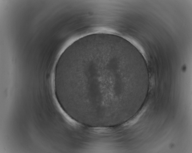 X0000101091391200807031716