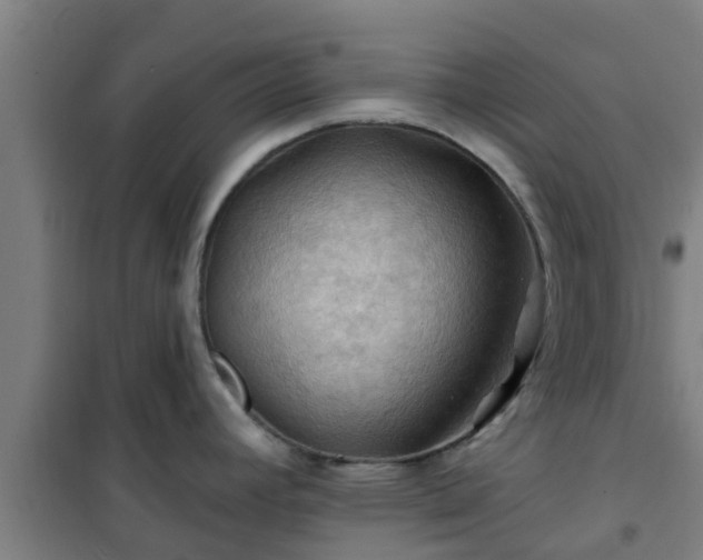 X0000101091392200807031716