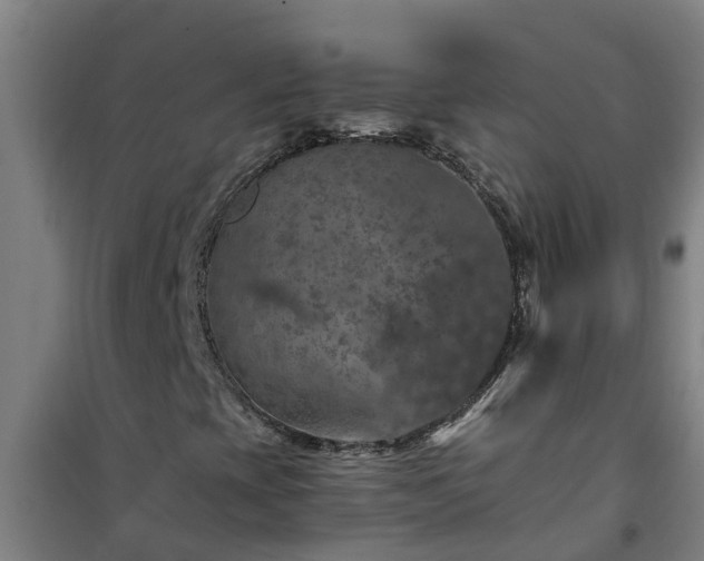 X0000101091393200807031715