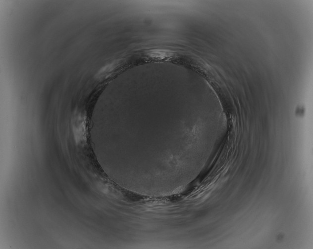 X0000101091394200807031715