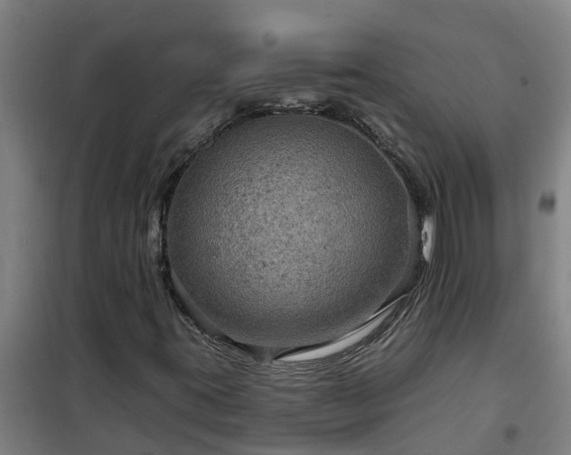 X0000101091395200807031715