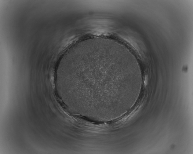 X0000101091396200807031715