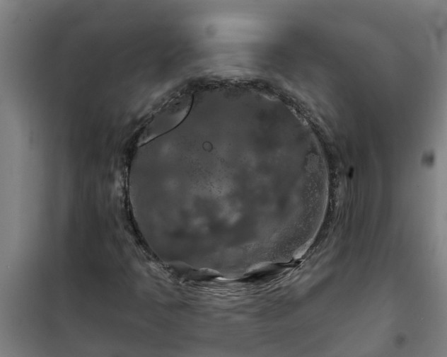 X0000101091397200807031715