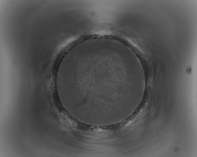 X0000101091398200807031715