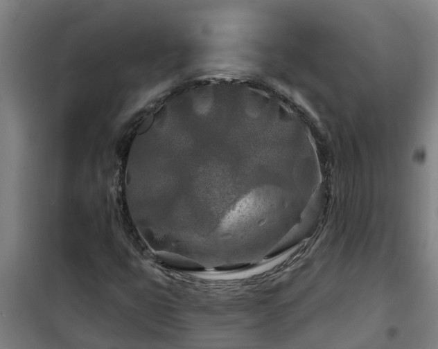 X0000101091399200807031715