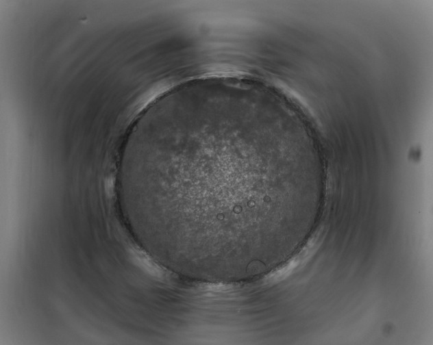 X0000101091401200807031715