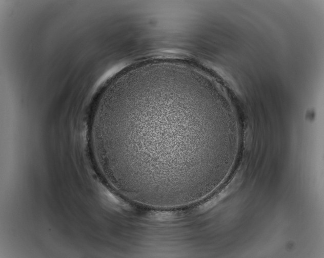 X0000101091402200807031715