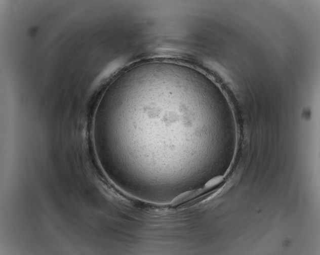 X0000101091403200807031715