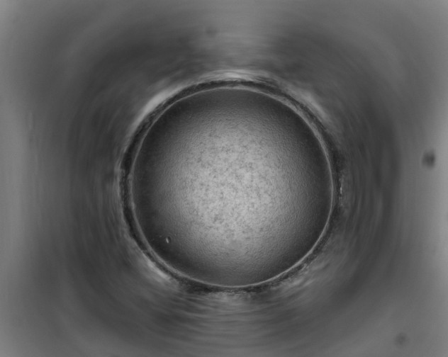 X0000101091404200807031715