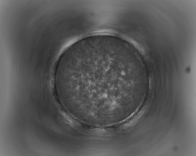 X0000101091405200807031715