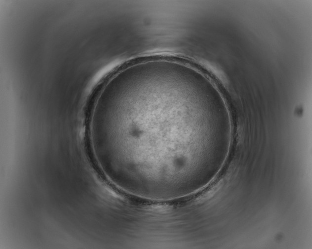 X0000101091406200807031715