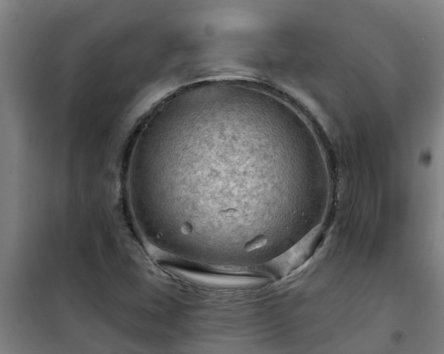 X0000101091407200807031715