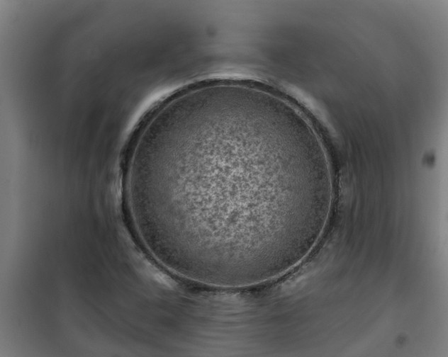 X0000101091408200807031715