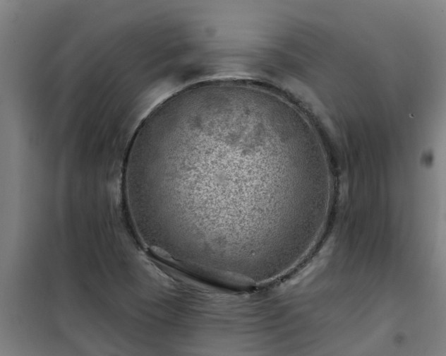 X0000101091409200807031716