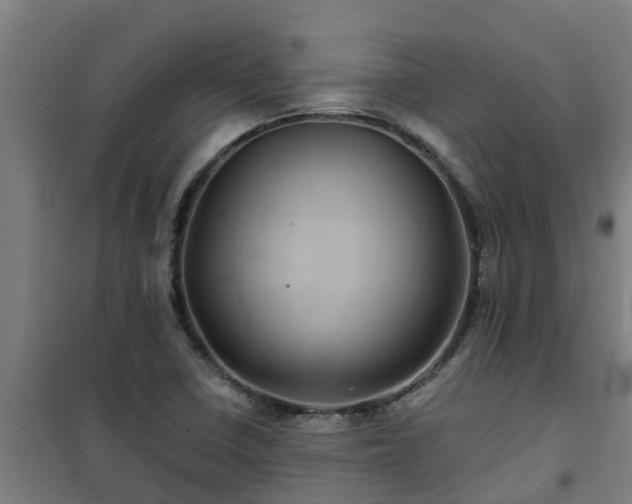 X0000101091410200807031716