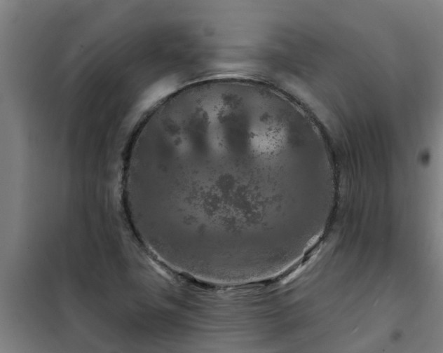 X0000101091411200807031716