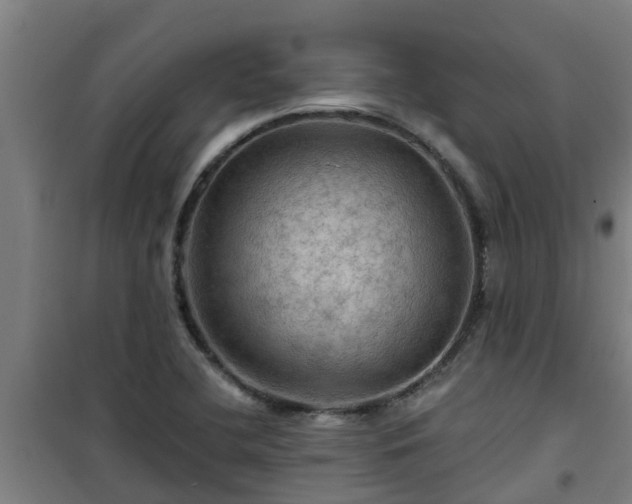 X0000101091412200807031716