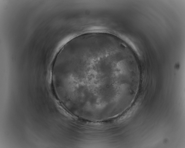 X0000101091413200807031716