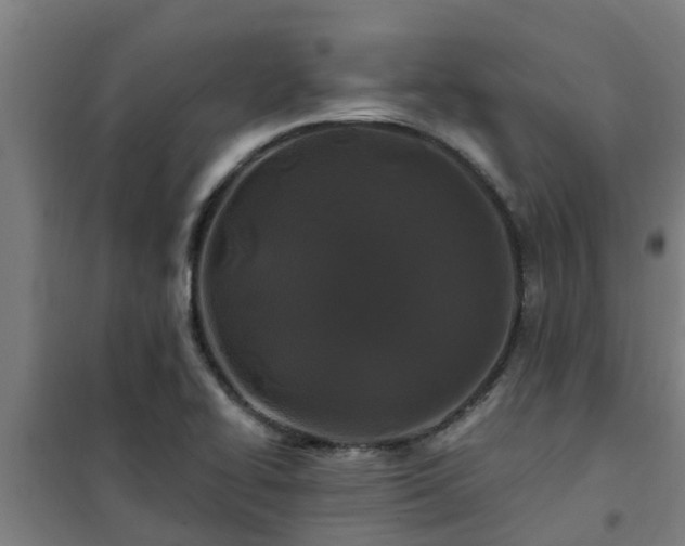 X0000101091414200807031716