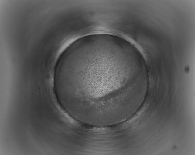 X0000101091415200807031716